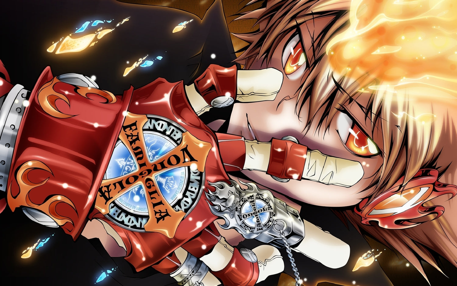 Katekyo Hitman Reborn!