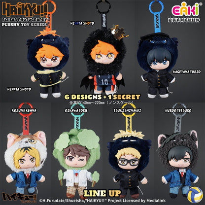 Haikyu!! Lucky Mascot Plush Blind Box – Official Licensed | EAKI